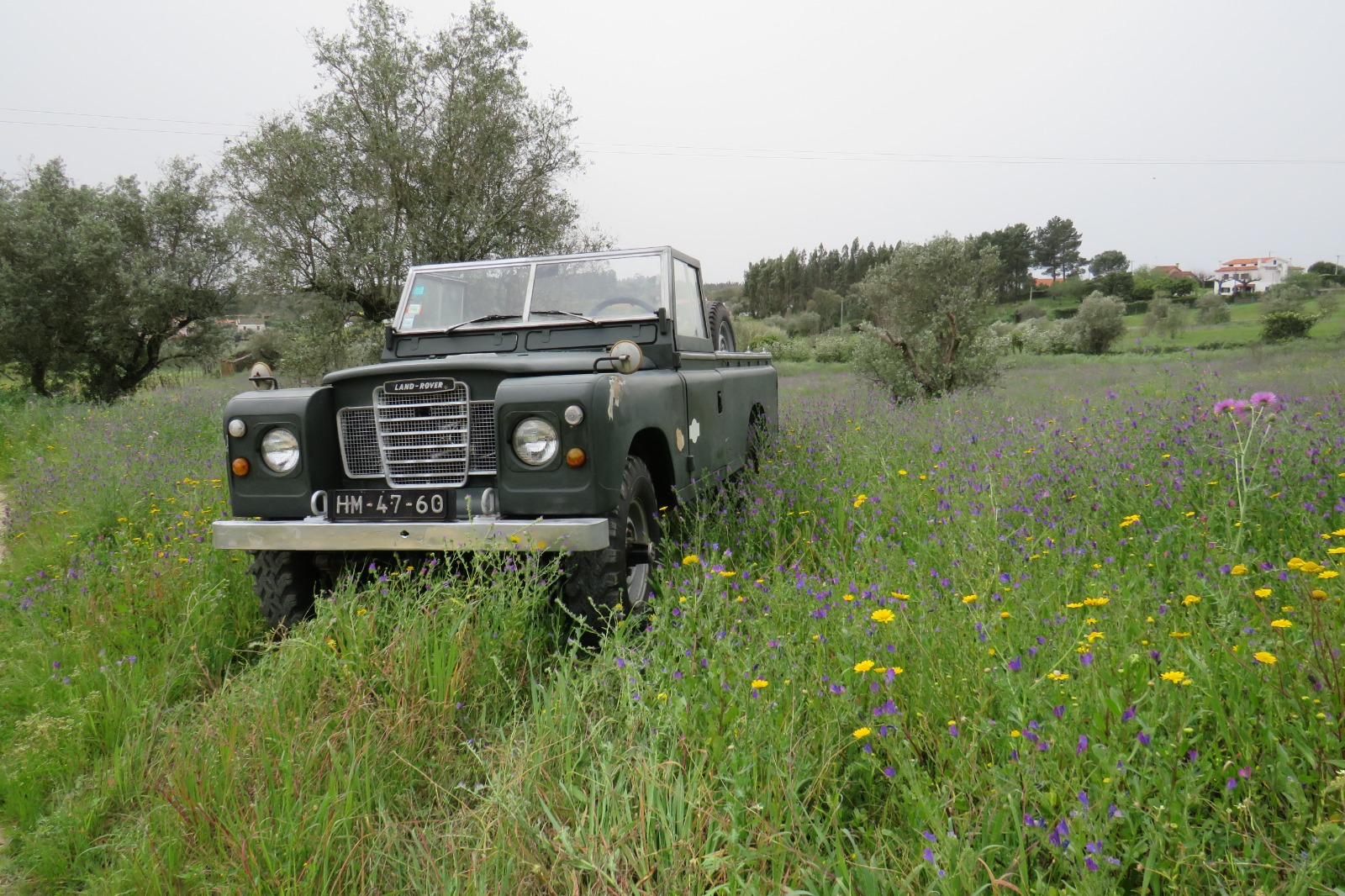 WhatsApp Image 2024-03-23 at 22.08.15(3)