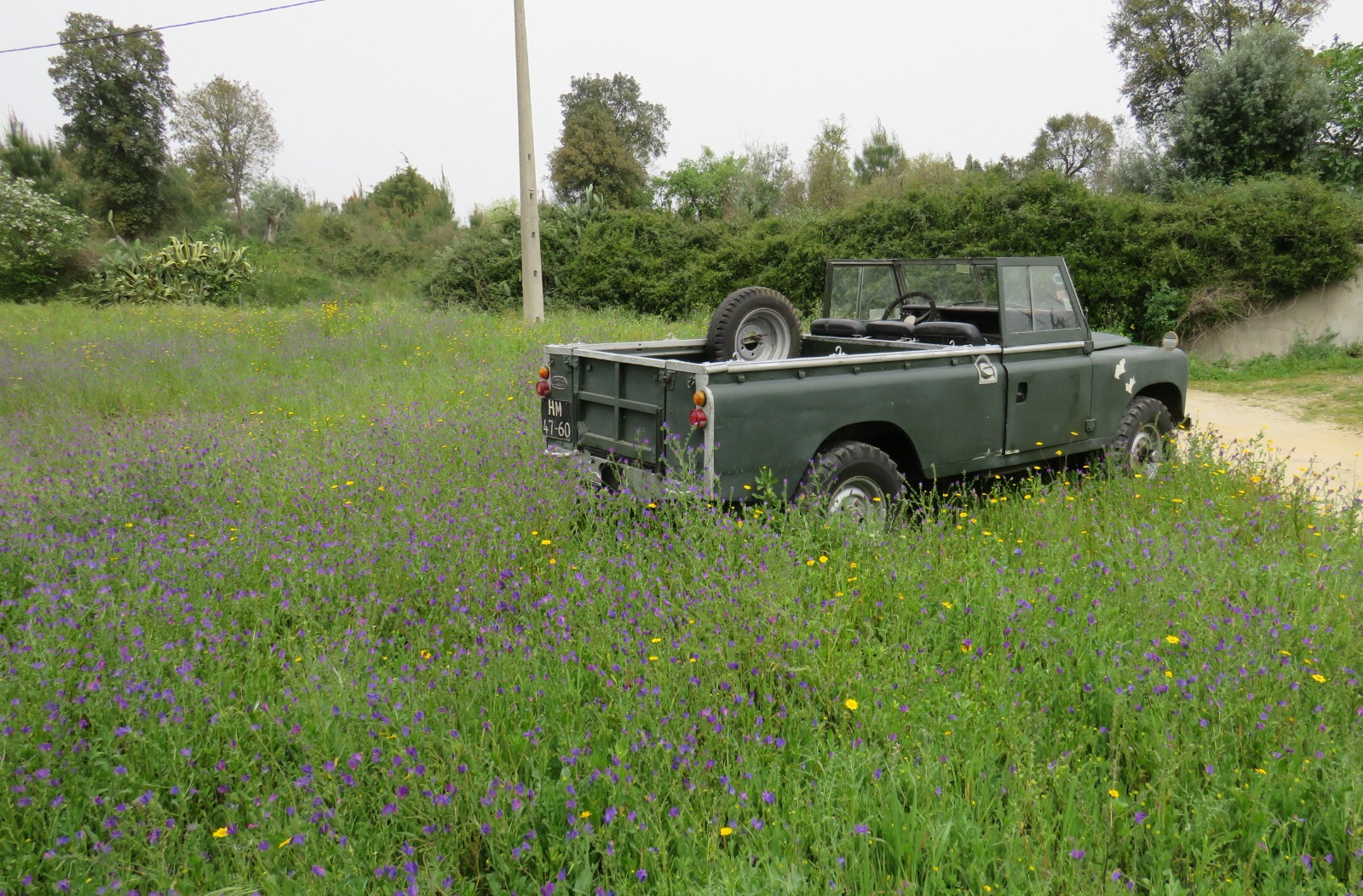 WhatsApp Image 2024-03-23 at 22.08.16(2)